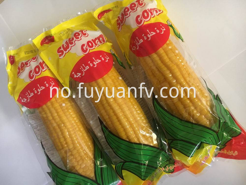 sweet corn 